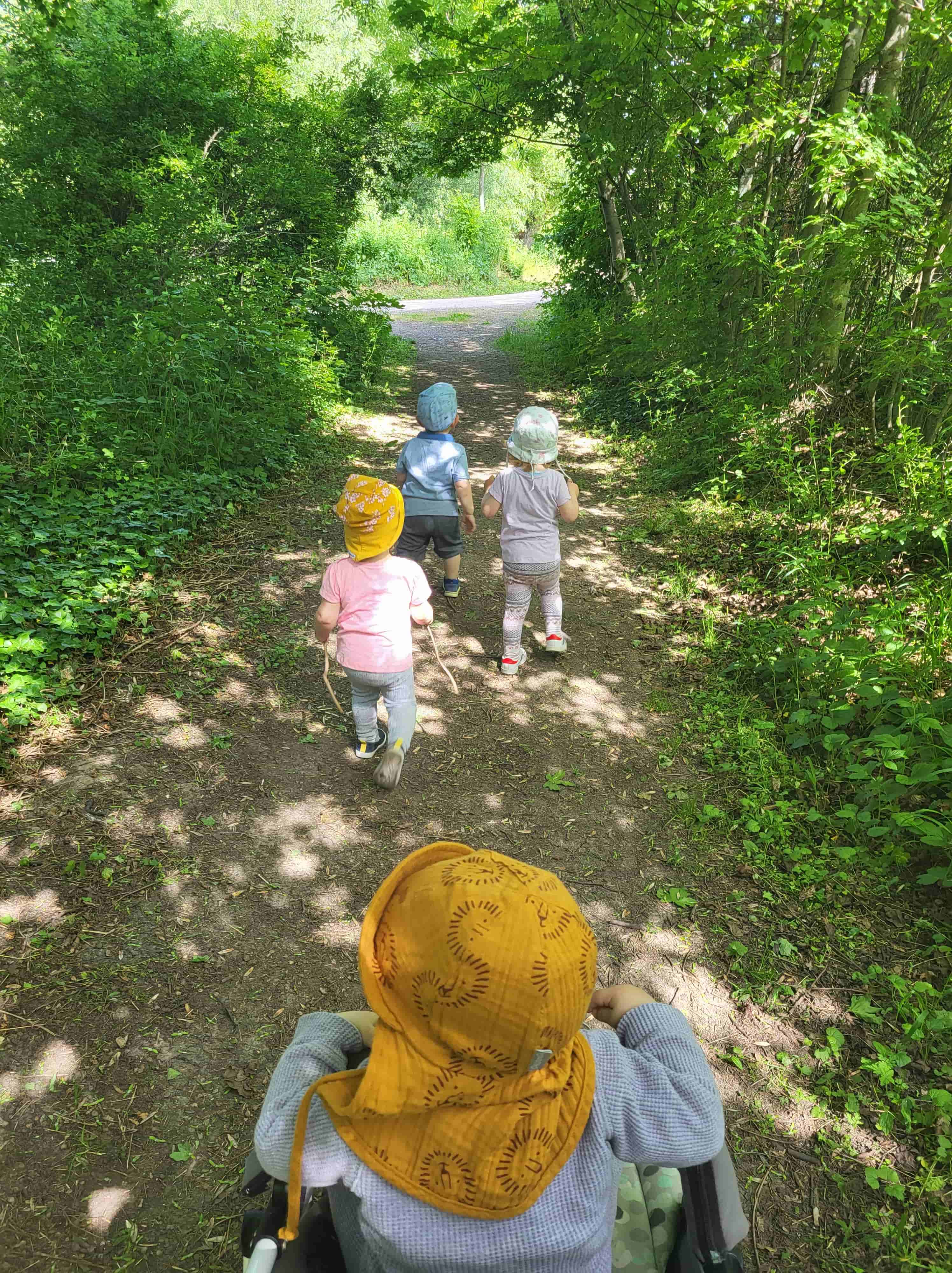 Spaziergang in der Natur